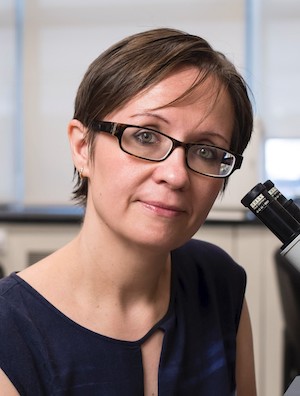 Victoria Kolupaeva, PhD